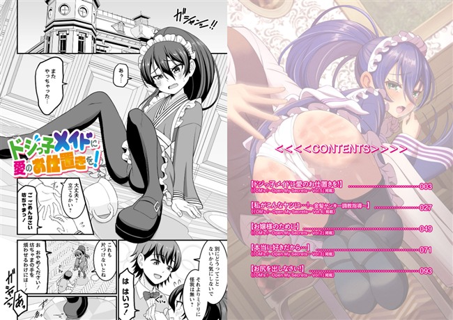 ドジっ子メイドに愛のお仕置きを!